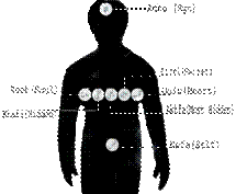 BODY.jpg
