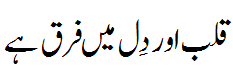 قلب اور دل میں فرق ہے - Difference between Qalb &  Heart