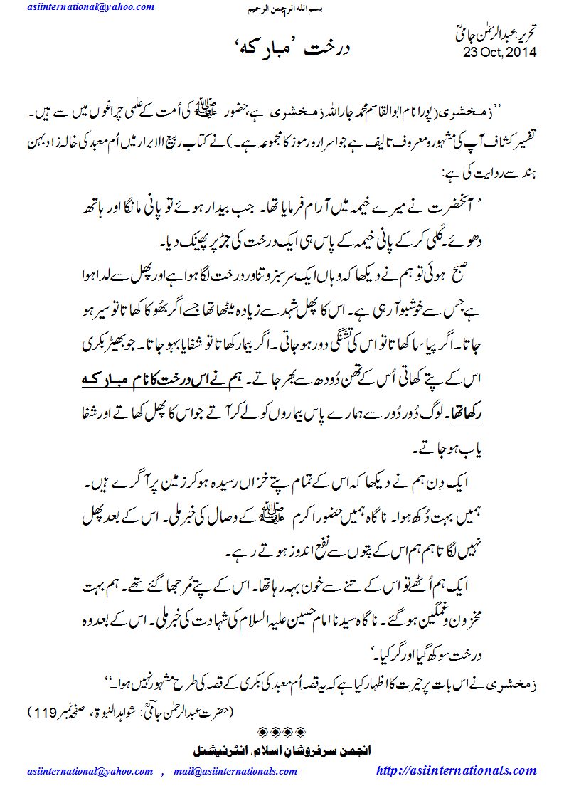 درخت مبارکہ - The holy tree